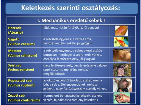 repesztett seb|Sebek és ellátásuk 